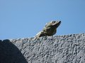 Img_3188.jpg